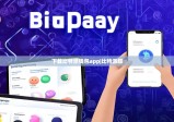 下載比特派錢(qián)包app|比特派群